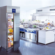 Refrigeradores y congeladores uso profesional